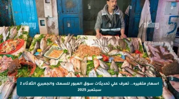 أسعار متغيرة.. تعرف على تحديثات سوق العبور للسمك والجمبري الثلاثاء 2 سبتمبر 2025